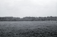 425 Wolfheze, terrein Barenbrug, 1972-09-00