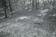 4463 Wolfheze, 1979-00-00