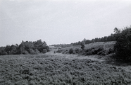 4499 Wolfheze, 1979 - 1982 (?)