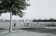 5018 Heelsum, Doornenkampseweg, 1968 - 1982