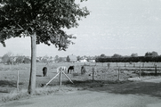 5019 Heelsum, Doornenkampseweg, 1968 - 1982