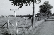 5020 Heelsum, Doornenkampseweg, 1968 - 1982