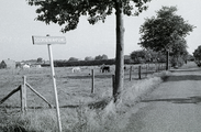 5021 Heelsum, Doornenkampseweg, 1968 - 1982