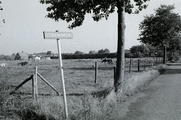 5022 Heelsum, Doornenkampseweg, 1968 - 1982