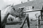 5685 Heelsum, Doornenkampseweg, 1968-1969