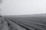 5844 Heelsum, Doorwerthse-Heide, 1969-04-04