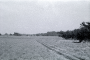5862 Laag Wolfheze, 1969-04-04