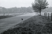 6243 Wolfheze, Wolfhezerweg, 1969-10-16