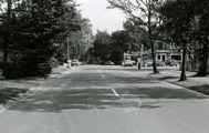 6462 Heelsum, Bennekomseweg, zomer 1971