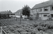 6762 de Witte Stad, 1977 - 1982