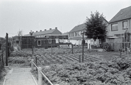 6763 de Witte Stad, 1977 - 1982