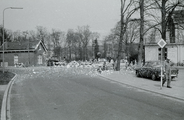 754 Wolfheze, Wolfhezerweg, 1972-04-00