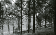 78 Wolfheze, nazomer 1969