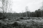 780 Oosterbeek, 1972-03-00