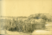 15-0007 Boslandschap, 1877
