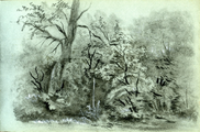 15-0022 Boslandschap, 1877