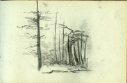 15-0029 Bomen, 1877