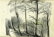 15-0041 Boslandschap, 1877