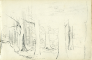 15-0045 Boslandschap, 1877