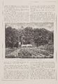 1397-0005 Moestuin en chalet der prinses in het koninklijk park Het Loo, 1888