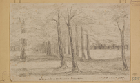 4128 Laan, eiken en beuken naar Warnsborn, 1857