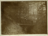 25-0058 Bruggetje over beek in bos, 1925-1930