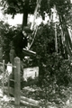 263 WO II, september 1944