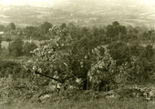 314 WO II, september 1944