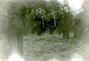 377 WO II, 17 september 1946