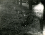445 WO II, 1945
