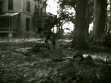 446 WO II, 1945