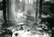 451 WO II, 1945