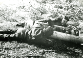 455 WO II, 1945