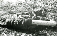 456 WO II, 1945