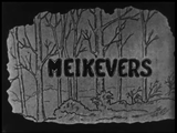 6-0001 Meikevers