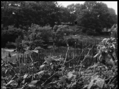 19-0001 Volkstuinen, 'Ik zou het niet meer willen missen'