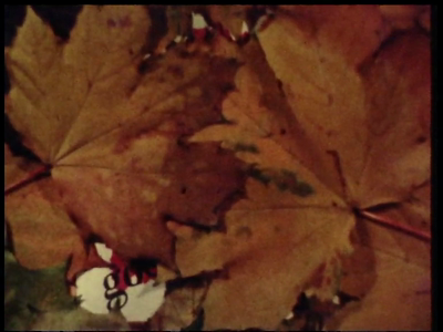 2-0001 Herfst, Winter, Spiegelglad