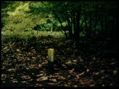 5-0001 Wandelen en uitstapjes