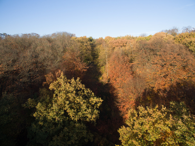 1 Steenen Tafel, 15-11-2018