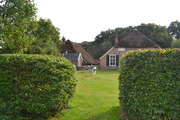 10469 vooraanzicht woonhuis, met hond, gefotografeerd vanuit tuin tussen heg door, Landgoed De Poll, 20-09-2013