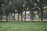 10474 woonhuis Landgoed De Poll, gefotografeerd tussen bomen door, 20-09-2013