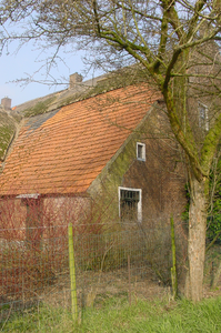 10765 zijkant boerderij aan de Waalbandijk met rode dakpannen en deels riet bedekt, 11-03-2004