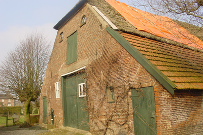 10766 zijkant boerderij aan de Waalbandijk met rode dakpannen en deels riet bedekt, 11-03-2004