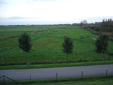 11797 gebied rond de Waaldijk, 29-10-2006