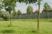 12313 zicht op achterzijde woningen aan de Schalmei vanaf de zijde Arnhemse weg, 28-06-2004