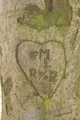 1301 ingekerfde stam van boom in parkbos landgoed de Schaffelaar, 14-04-2004