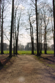 1302 bomen in parkbos landgoed de Schaffelaar, 14-04-2004