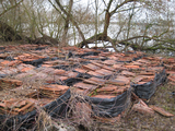 1872 oude rode dakpannen op stapels op de grond tusssen onkruid steenfabriek De Bunswaard, 26-01-2011