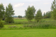 1930 weilanden de Bakerswaard (voorheen de Baakse waard), 03-09-2003