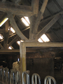 3240 stal met koe hallehuisboerderij aan Pas 6 te Afferden, 15-03-2012